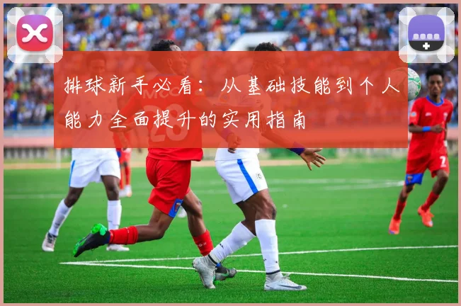 排球新手必看：从基础技能到个人能力全面提升的实用指南