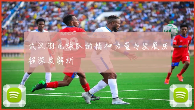 武汉羽毛球队的精神力量与发展历程深度解析